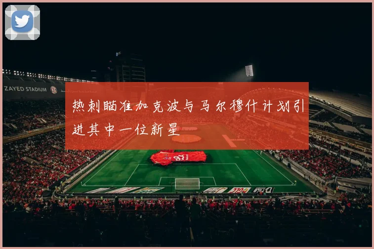 热刺瞄准加克波与马尔穆什计划引进其中一位新星
