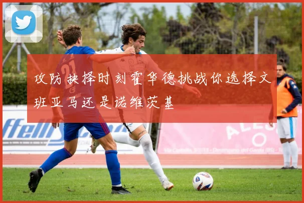 攻防抉择时刻霍华德挑战你选择文班亚马还是诺维茨基